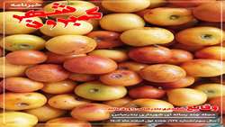 خبرنامه چند رسانه ای گمبرون شهر سال سوم/شماره 124/هفته اول اسفند ماه ۱۴۰۲